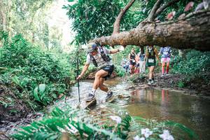 BIB: 
                            <button type="button" onclick="openModal(25513992)" class="btn btn-primary btn-sm float-right btn-popup" data-toggle="modal" data-target=".modal-high-quality">
                        <i class="fas fa-shopping-cart"></i> Add to Cart
                    </button>
                                            <button type="button" onclick="isThisMe(25513992, true)" class="btn btn-success btn-sm float-right btn-popup btn-isme hidden" data-toggle="tooltip" data-placement="bottom" title="นี่คือรูปของคุณใช่ไหม คลิกที่นี่เพื่อเอาเข้าอัลบั้ม">
                        <i class="fas fa-plus"></i> Add to album
                    </button>
                    <button type="button" onclick="isThisMe(25513992, false)" class="btn btn-warning btn-sm float-right btn-popup btn-isnotme hidden">
                        <i class="fas fa-ban"></i> Remove from album
                    </button>